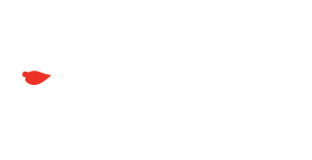 logo amati